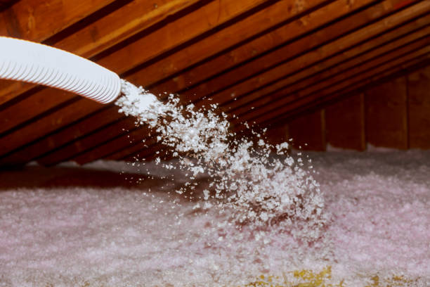 Best Insulation Replacement Services  in Waverly, MI