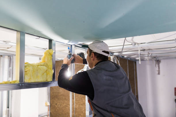 Soundproof Insulation Installation in Waverly, MI