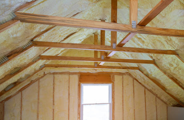 Best Insulation Installation Cost  in Waverly, MI