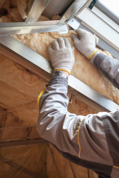 Best Professional Insulation Contractor  in Waverly, MI