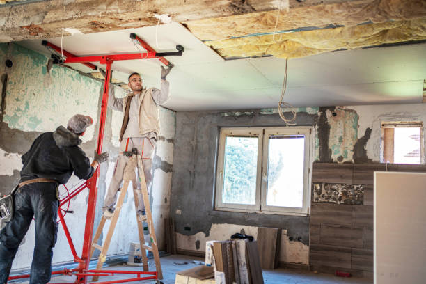 Best Cellulose Insulation  in Waverly, MI