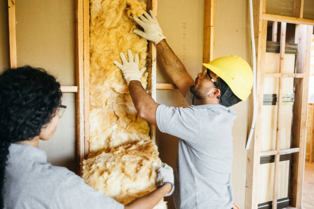 Best Energy-efficient Insulation  in Waverly, MI