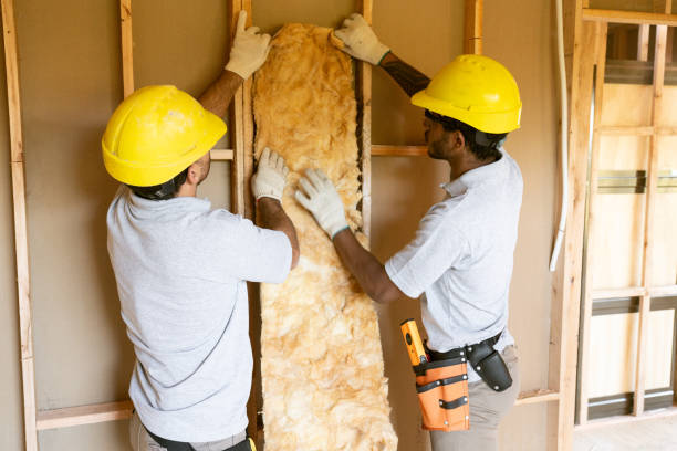 Best Best Insulation Companies  in Waverly, MI