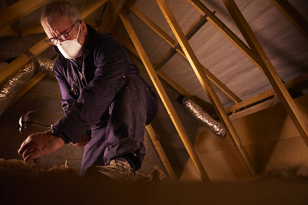 Best Attic Insulation Installation  in Waverly, MI