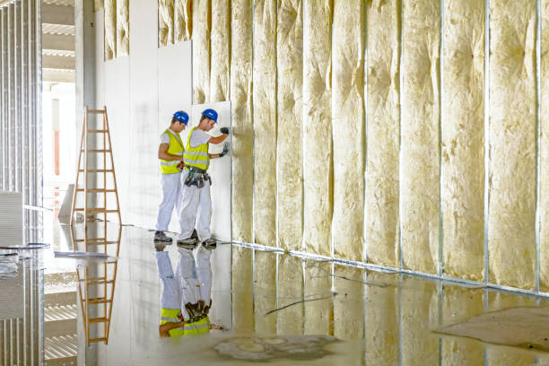 Best Local Insulation Services  in Waverly, MI